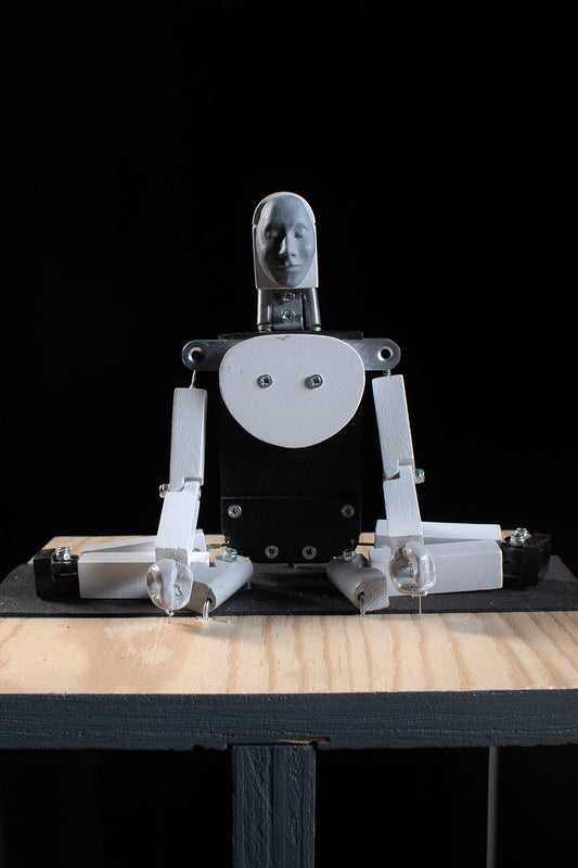 January 31 & February 1 Mechanical Garden at CC Amstel in Amsterdam