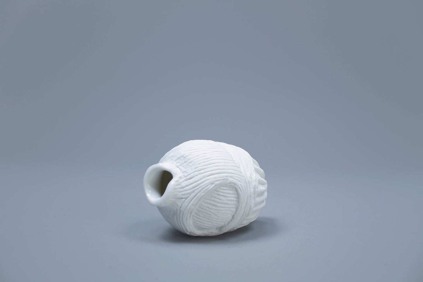OCEANUS BLADDER