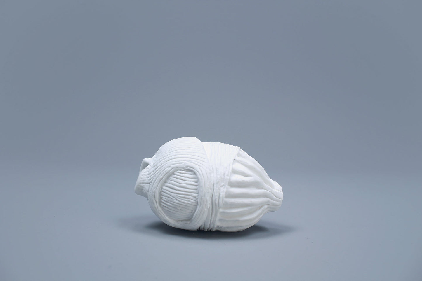 OCEANUS BLADDER