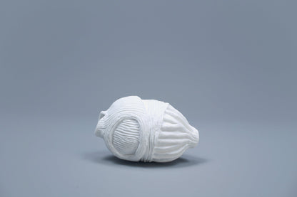 OCEANUS BLADDER