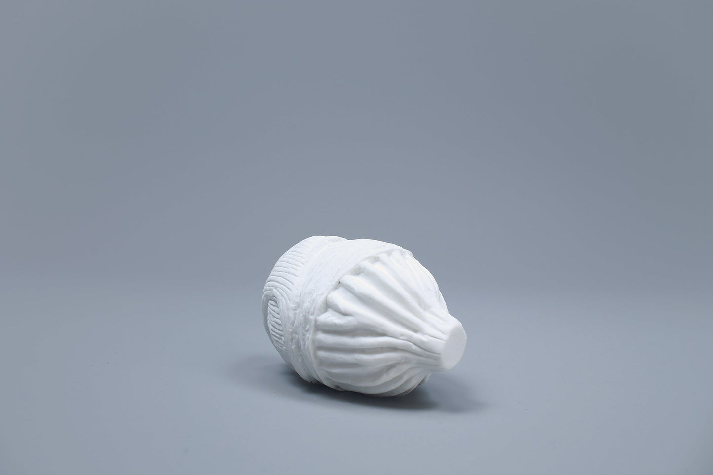 OCEANUS BLADDER