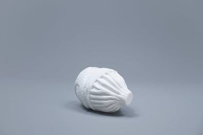 OCEANUS BLADDER
