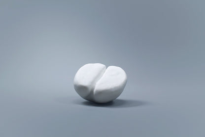 OCEANUS BEAN