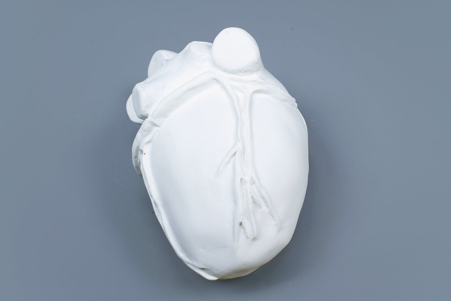 OCEANUS HEART
