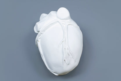 OCEANUS HEART