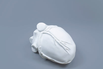 OCEANUS HEART