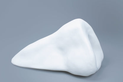 OCEANUS NOSE