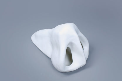 OCEANUS NOSE