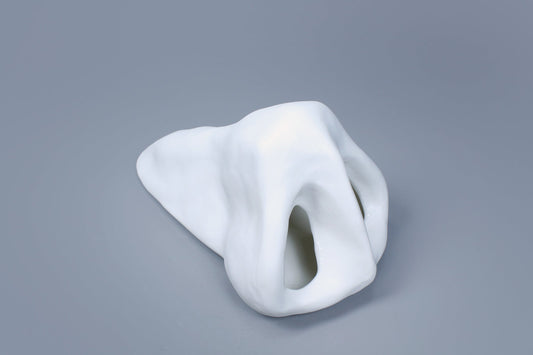 OCEANUS NOSE