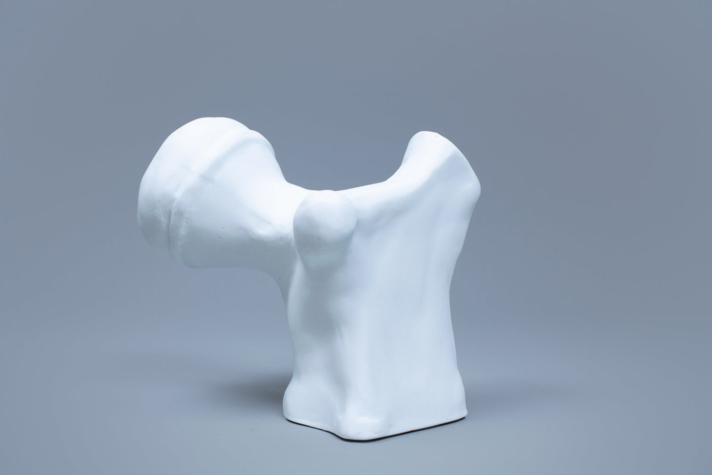 OCEANUS BONE