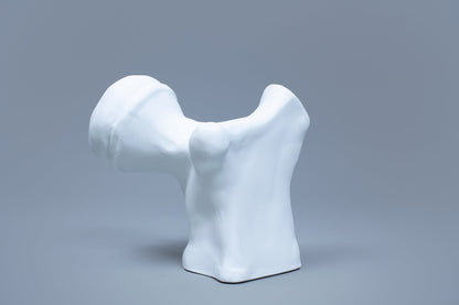 OCEANUS BONE
