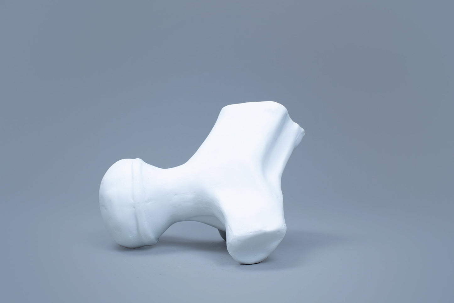 OCEANUS BONE