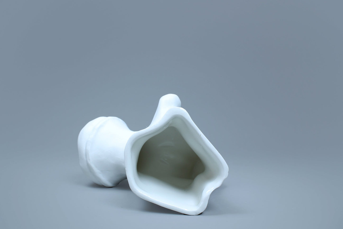 OCEANUS BONE